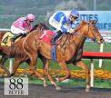 Pure Fun wins the Hollywood Starlet